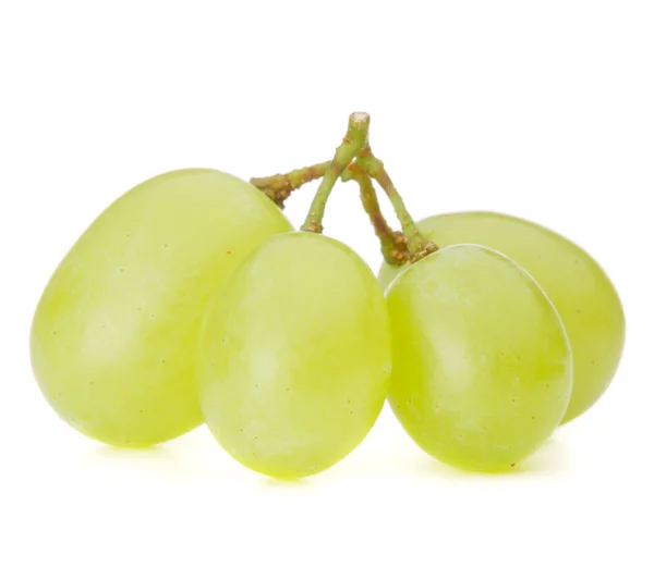 Racimo de uva verde —  Fotos de Stock
