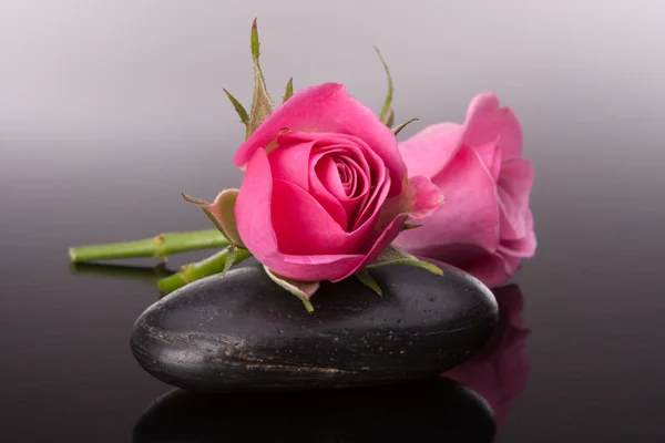 Kamień kurort i róża kwiaty martwa. pojęcie opieki zdrowotnej. — Zdjęcie stockowe