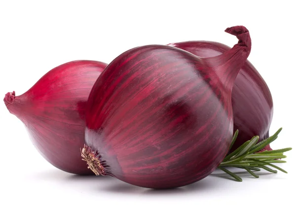 Red onion and rosemary leaves — Stock Photo, Image