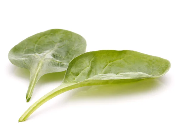 Découpe de légumes aux épinards — Photo