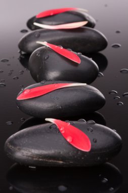 Spa taş ve çiçek petal