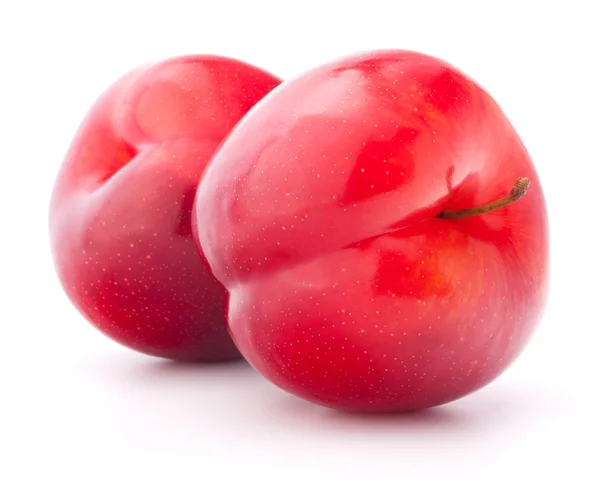 Sweet plum — Stock Photo, Image