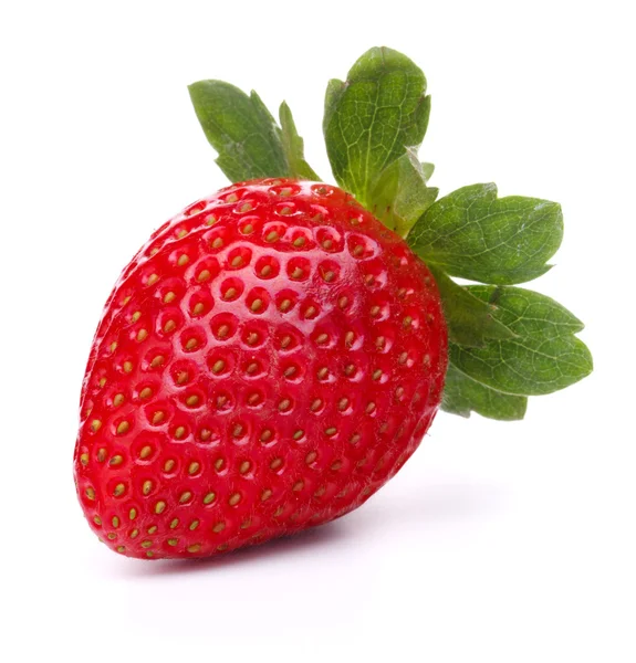 Fragola fresca — Foto Stock