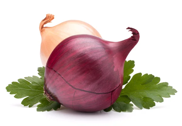 Onion vegetable bulb and parsley leaves — Stock Photo, Image