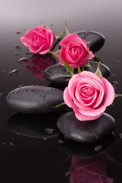 Spa sten och rosa blommor stilleben — Stockfoto