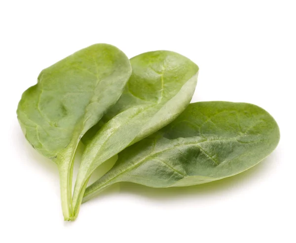 Découpe de légumes aux épinards — Photo