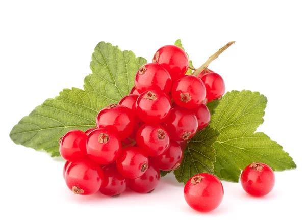 Red currants and green leaves — Stock Photo, Image