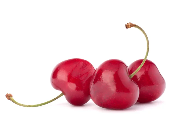 Три ягоди вишні — стокове фото