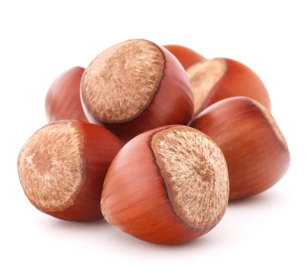 Slide hazelnut — Stock Photo, Image