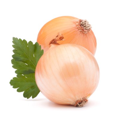 soğan sebze ampul ve maydanoz yaprakları natürmort 