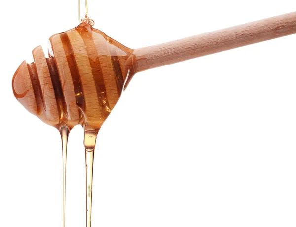 蜂蜜の滴下から木の蜂蜜のディップ — ストック写真