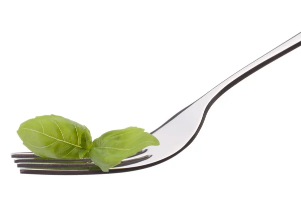 Fresh basil leaf  on fork — Stock Photo, Image