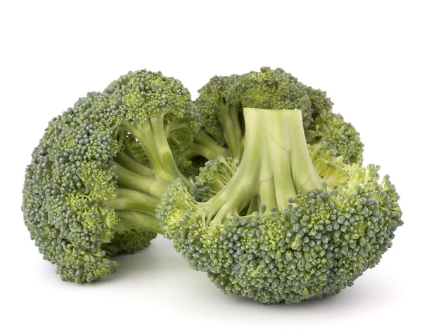 Légumes brocoli — Photo