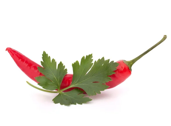 红辣椒或红辣椒辣椒和香菜叶子静物 — 图库照片