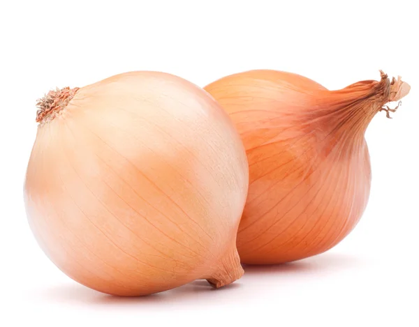 Bombillas de cebolla dorada — Foto de Stock