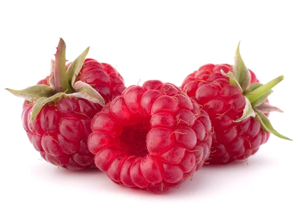 Reife Himbeeren — Stockfoto