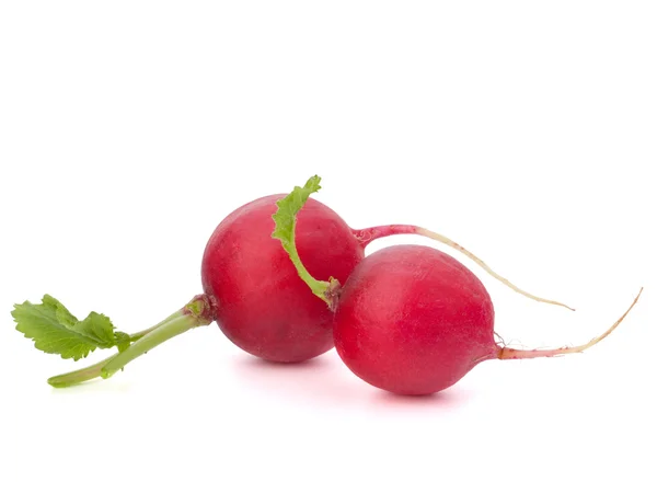 Small garden radish — Stock Photo, Image