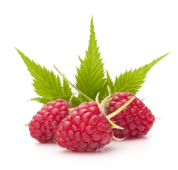 Sweet raspberry — Stock Photo, Image