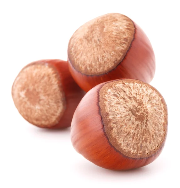 Hazelnut or filbert nut — Stock Photo, Image