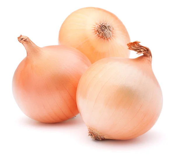 Gold onion vegetable bulbs — Stock Photo, Image