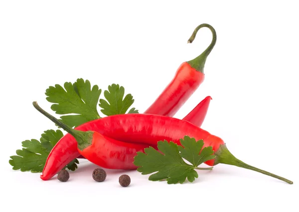 Hot chili czerwony lub chili pieprz i Pietruszka liście martwa natura — Zdjęcie stockowe