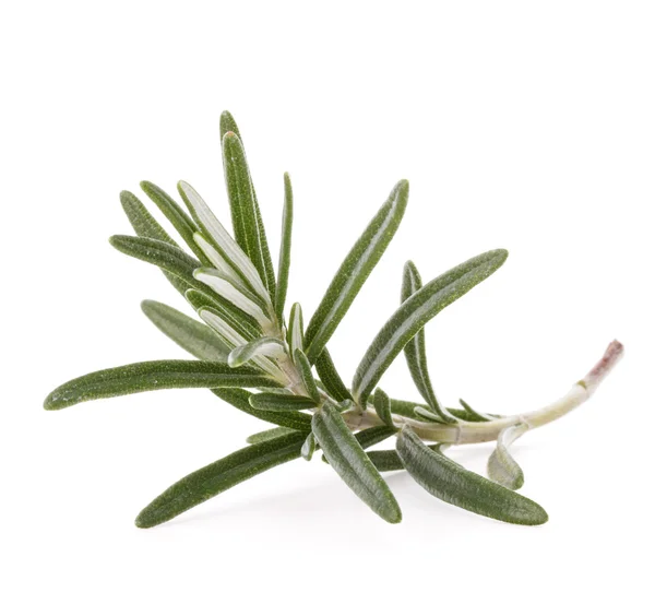 Rosemary herb spice leaves — Stock Photo, Image