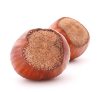 Beyaz arka plan üzerinde kesme izole fındık veya fındık ceviz 