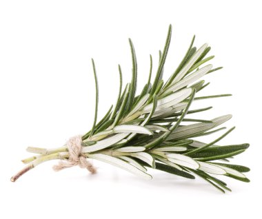 Biberiye bitki baharat yaprakları üzerinde beyaz bir arka plan kesme izole 