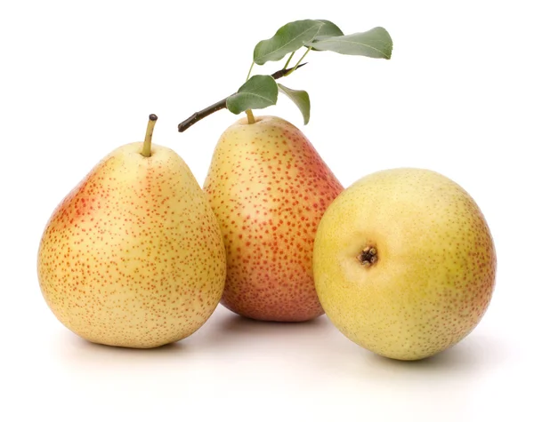 Pear fruits — Stock Photo, Image