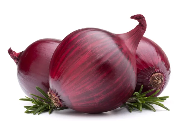 Cebolla roja y hojas de romero — Foto de Stock