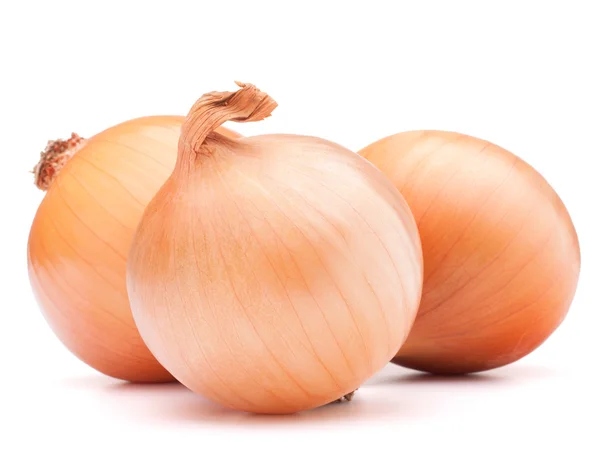 Bolbos de cebola de ouro vegetal — Fotografia de Stock