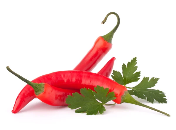 Peperoncino rosso caldo o peperoncino e foglie di prezzemolo natura morta — Foto Stock