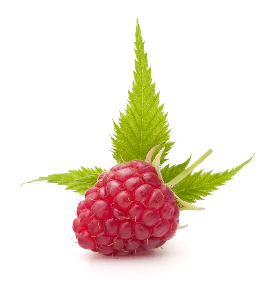 Sweet raspberry isolated on white background cutout — Stock Photo, Image