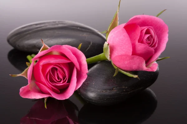 Курортный камень и розовые цветы натюрморт. Концепция здравоохранения . — стоковое фото