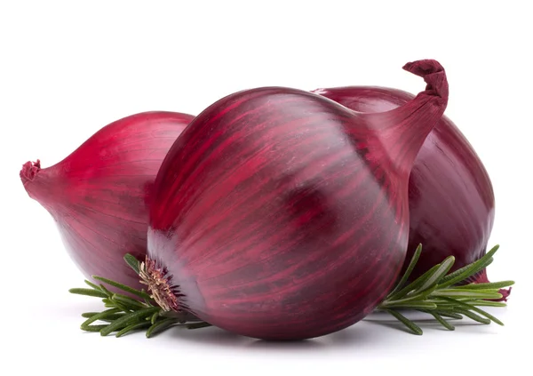 Cebolla roja y hojas de romero — Foto de Stock