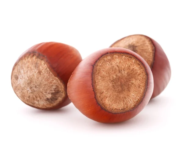 Hazelnut or filbert nut isolated on white background cutout — Stock Photo, Image