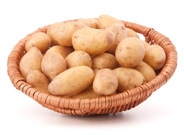 Potatis knöl i rotting korg isolerad på vit bakgrund — Stockfoto