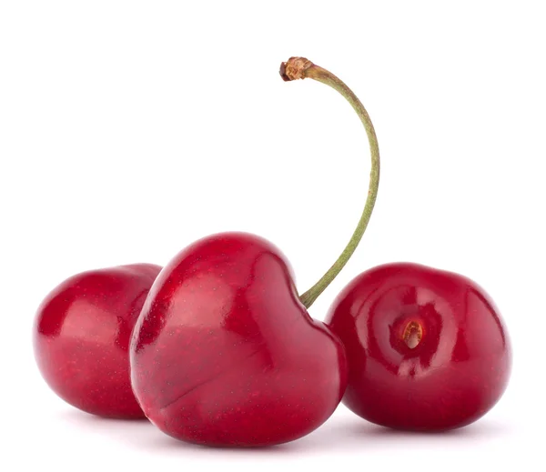 Baies cerises en forme de coeur — Photo