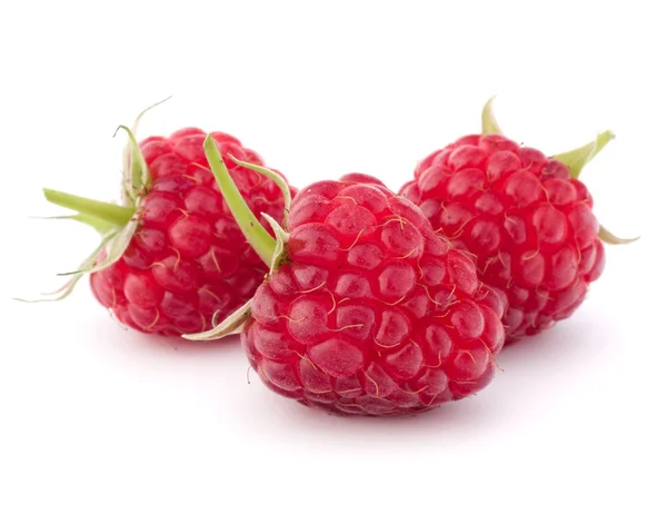 Reife Himbeeren — Stockfoto