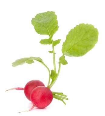 küçük Bahçe turp yaprakları ile