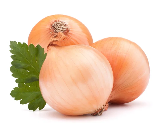 Onion vegetable bulb and parsley leaves still life — Stock Photo, Image