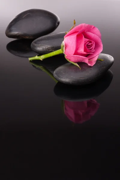 Курортный камень и розовые цветы натюрморт. Концепция здравоохранения . — стоковое фото