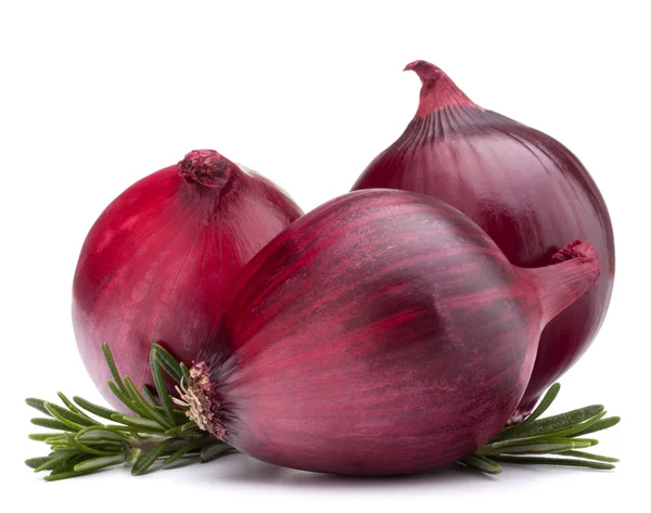 Cebolla roja y hojas de romero — Foto de Stock