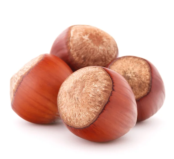 Hazelnut or filbert nut isolated on white background cutout — Stock Photo, Image