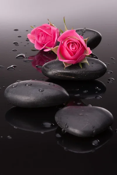 Spa stone and rose flowers still life. Healthcare concept. — Stock Photo, Image