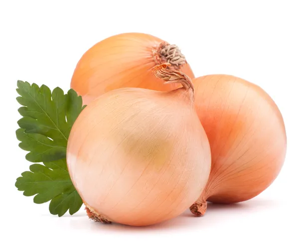 Onion  bulbs and parsley — Stock Photo, Image