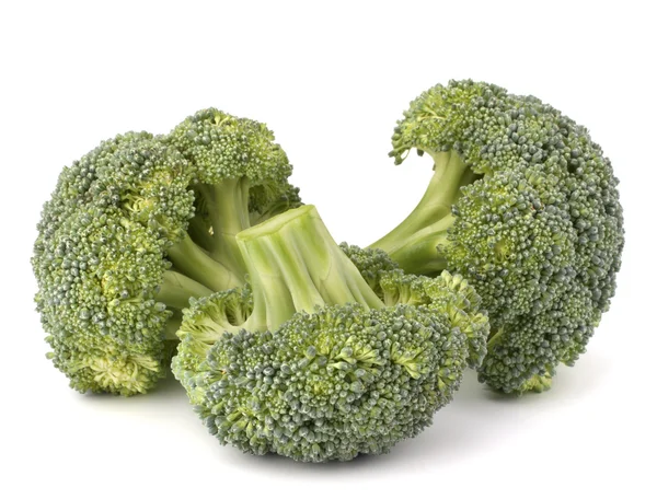 Broccoli vegetabiliska — Stockfoto