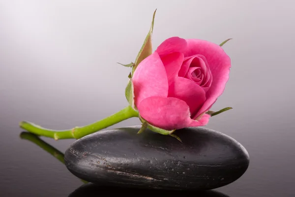 Spa steen en roze bloemen — Stockfoto