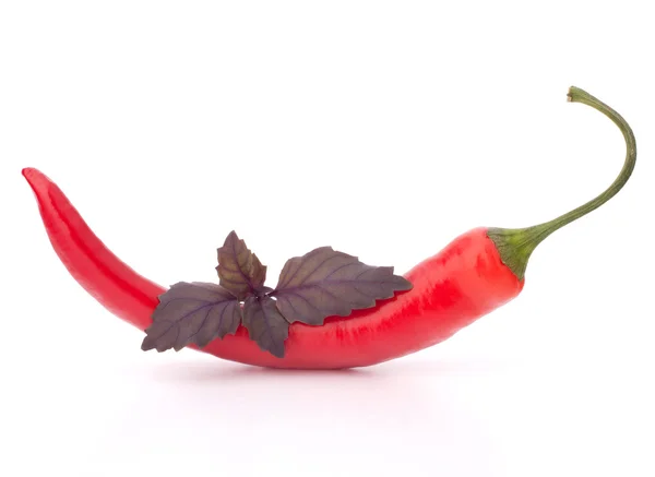 Hot red chili or chilli pepper — Stock Photo, Image