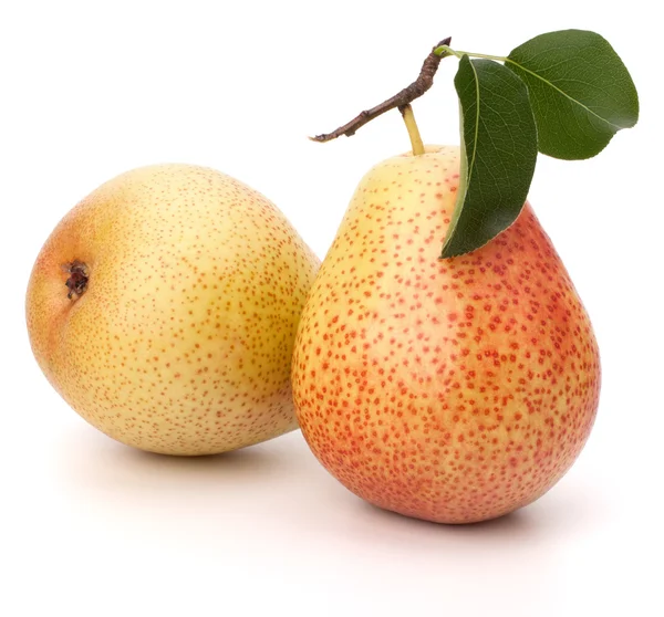 Pear fruits — Stock Photo, Image